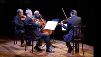 Concierto del Quartetto D’Archi di Venezia 2023