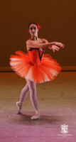 Gala de ballet 2024